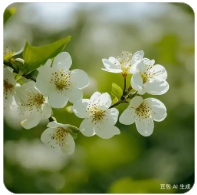 合作共赢