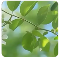 合作共赢